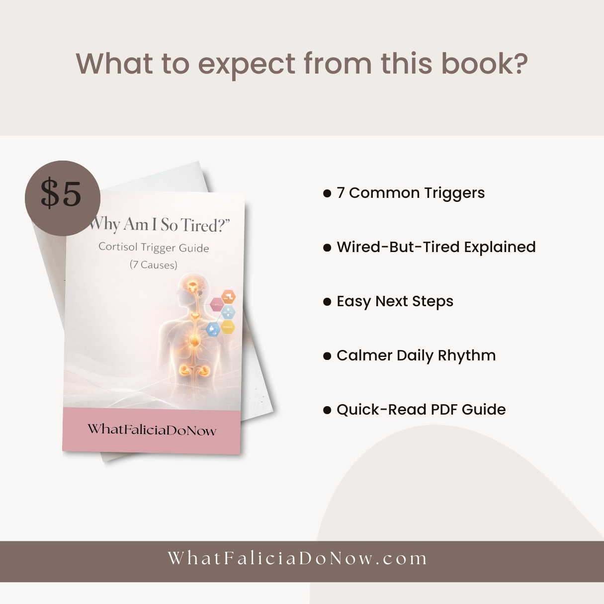 WhatFaliciaDoNow Cortisol Triggers, Ebook, Downable 